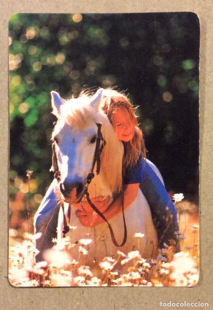 Sammeln von Kalendern: PESCADER&Iacute;A MARTA Y ALBERTO (BARAKALDO). CALENDARIO PUBLICITARIO DE 1998.