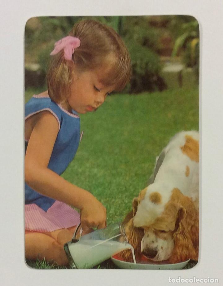 Collezionismo Calendari: TRANSPORTES LACASTA. CALENDARIO PUBLICITARIO DE 1978.