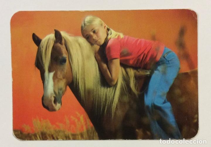 Collezionismo Calendari: BAR MACIAS (BILBAO). CALENDARIO PUBLICITARIO DE 1979.