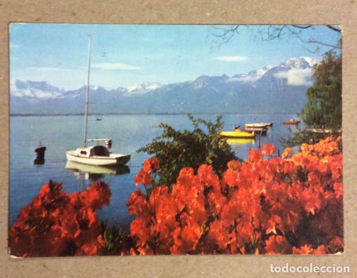 Collectables Calendars: BAR LA MONA (ROMO - LAS ARENAS). CALENDARIO PUBLICITARIO DE 1980.