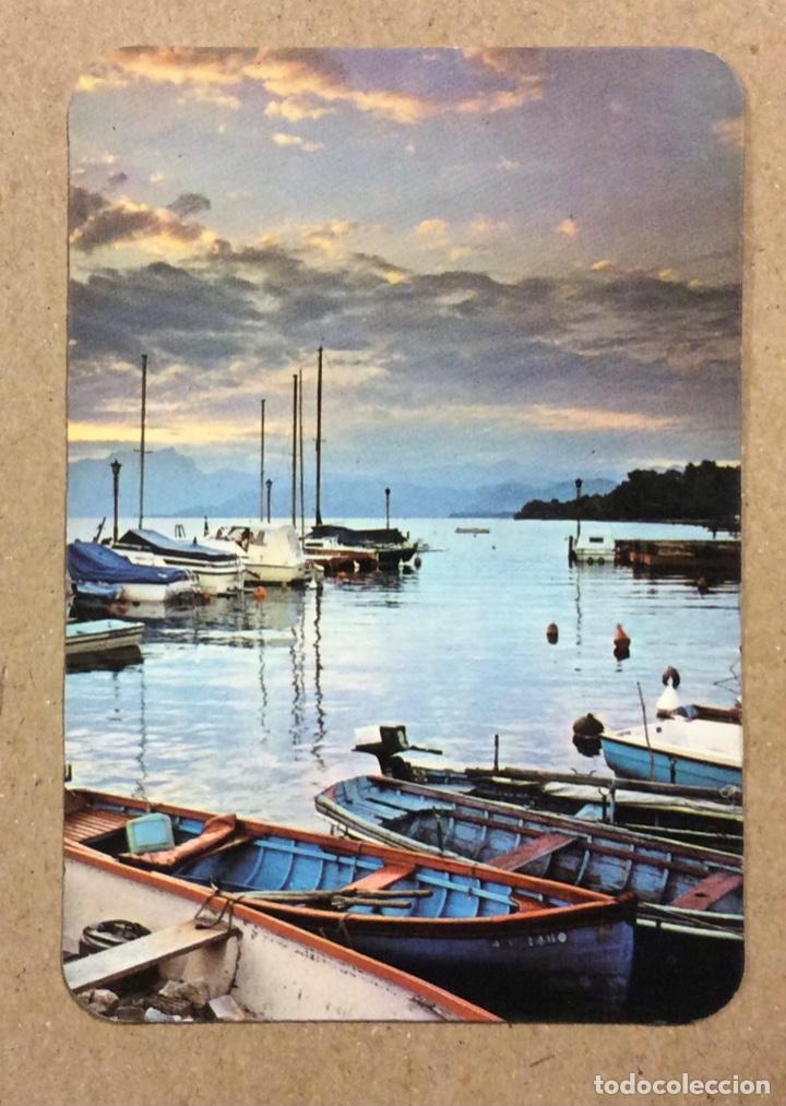 Collezionismo Calendari: BAR BUENA SOMBRA (BASAURI). CALENDARIO PUBLICITARIO DE 1981.