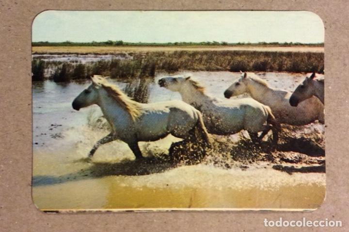 Collectables Calendars: CARPINTER&Iacute;A EBANISTER&Iacute;A NICOL&Aacute;S NIETO (BILBAO). CALENDARIO PUBLICITARIO DE CURSO 1981.