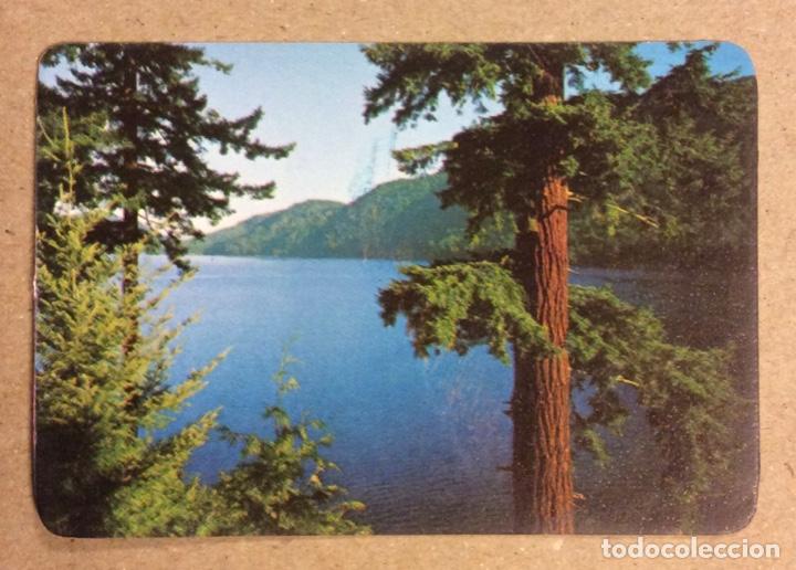 Collectables Calendars: ESTANCO IRENE MESTRE (BILBAO). CALENDARIO PUBLICITARIO DE CURSO 1982.