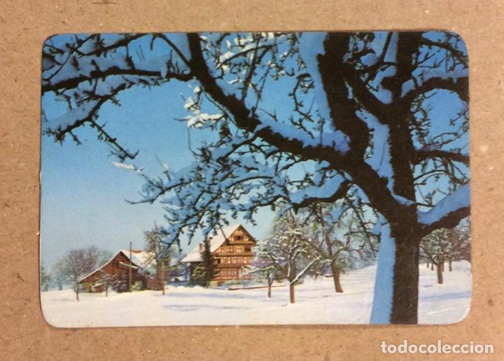 Collectables Calendars: VULCANIZADOS Y RECAMBIOS SALVADOR (BASAURI). CALENDARIO PUBLICITARIO DE 1982