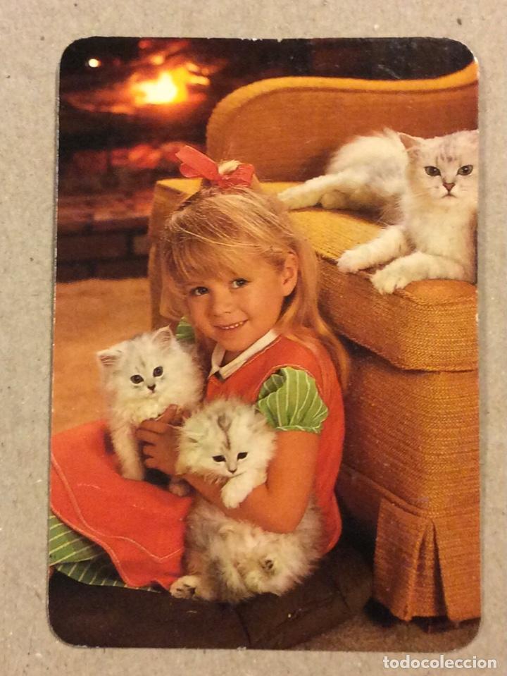 Sammeln von Kalendern: AUTOCARES ZORYLUP (SANTURCE). CALENDARIO PUBLICITARIO DE 1989.