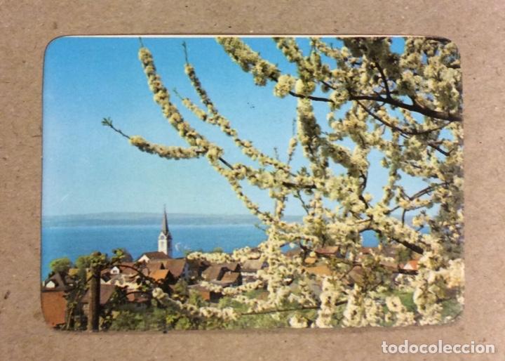 Coleccionismo calendarios: CALZADOS GELLY (PORTUGALETE). CALENDARIO PUBLICITARIO DE 1984.