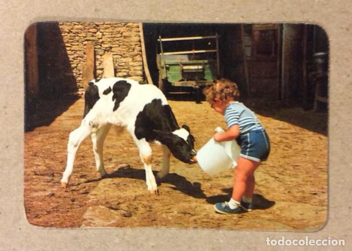 Coleccionismo Calendarios: MES&Oacute;N RESTAURANTE EL CU&Eacute;VANO (ESPINOSA DE LOS MONTEROS - BURGOS). CALENDARIO PUBLICITARIO DE 1984.