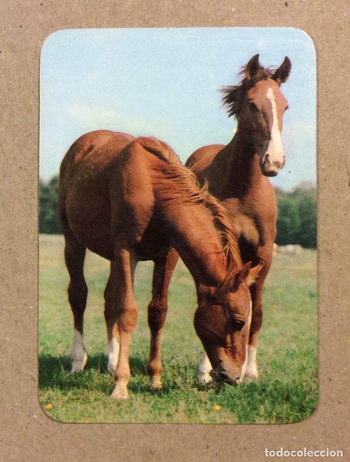 Coleccionismo Calendarios: PERFUMER&Iacute;A KISS (BILBAO). CALENDARIO PUBLICITARIO DE 1984.