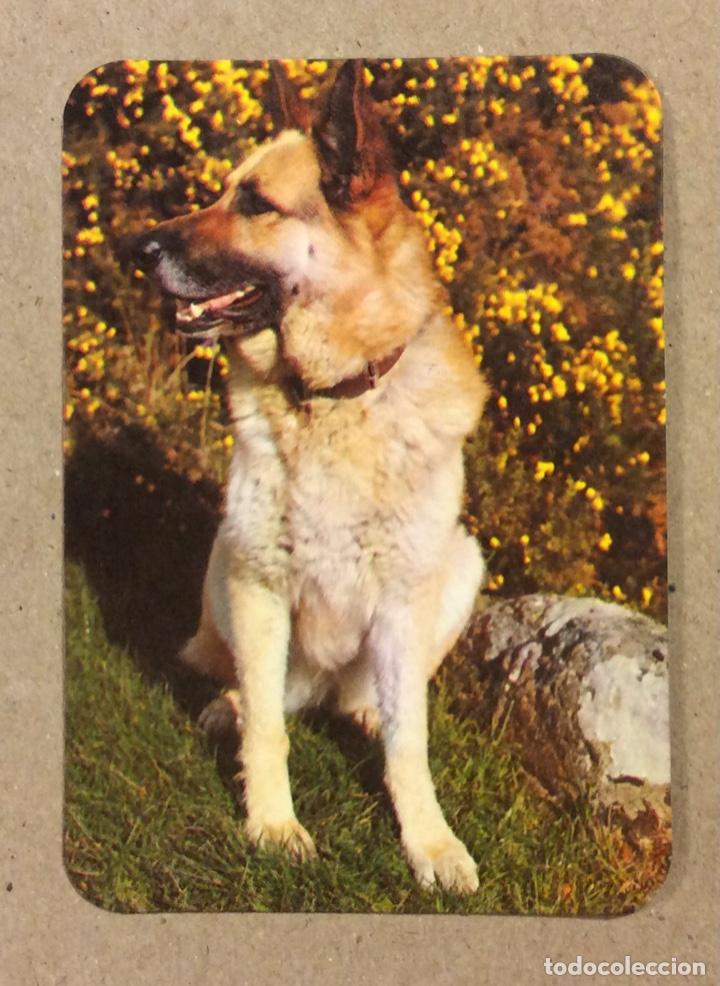 Coleccionismo Calendarios: IRU - COLOR VENTA DE TELEVISORES Y V&Iacute;DEOS (ALONSOTEGUI). CALENDARIO PUBLICITARIO DE 1984.