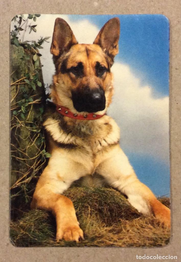 Coleccionismo Calendarios: BAR EL PASO (BENIMACLET - VALENCIA). CALENDARIO PUBLICITARIO DE 1984.