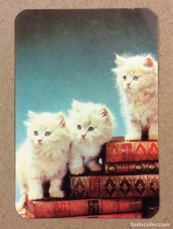 Collezionismo Calendari: RECREATIVOS JENA (PERALTA - NAVARRA). CALENDARIO PUBLICITARIO 1983.