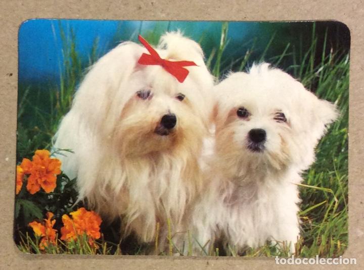 Collectables Calendars: BAR BILLAR ROQU&Eacute; CHICO (TENERIFE). CALENDARIO PUBLICITARIO DE 1991.