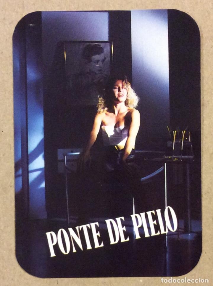 Colecionismo Calend&aacute;rios: PIELO (TOLOSA - BILBAO - BARCELONA). CALENDARIO PUBLICITARIO DE 1991.