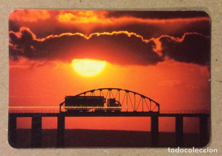 Coleccionismo Calendarios: RANT SKATE - SURF - MOVIE - RECORDS - T-SHIRTS (LAS ARENAS). CALENDARIO PUBLICITARIO DE 1994.