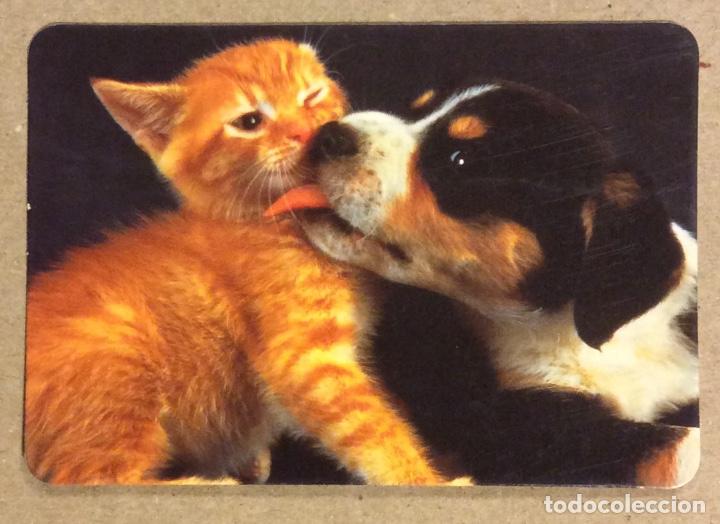 Coleccionismo Calendarios: RANT SKATE - SURF - MOVIE - RECORDS - T-SHIRTS (LAS ARENAS). CALENDARIO PUBLICITARIO DE 1994.