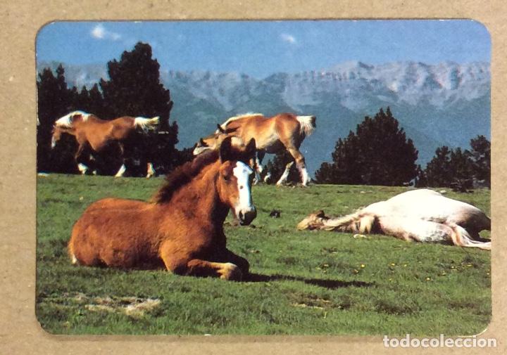 Coleccionismo calendarios: GR&Aacute;FICAS RECORD (BILBAO). CALENDARIO PUBLICITARIO DE 1992.