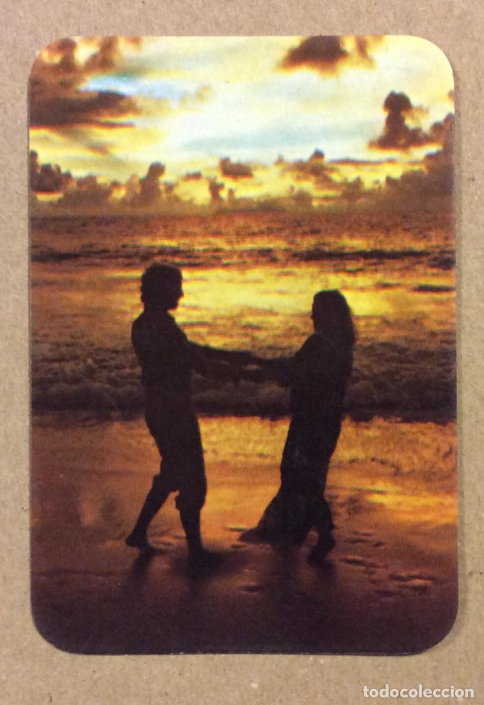 Sammeln von Kalendern: TALLERES LISARDO (REVILLA DE CAMARGO - CANTABRIA). CALENDARIO PUBLICITARIO DE 1993.