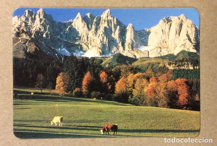 Coleccionismo calendarios: ADMINISTRACI&Oacute;N LOTER&Iacute;A L&Oacute;PEZ DE MENDOZA (BILBAO). CALENDARIO PUBLICITARIO DE 1990.