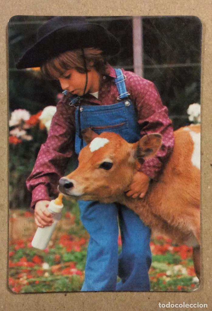 Colecionismo Calend&aacute;rios: CARNICER&Iacute;A MIGUEL UNZALU (VITORIA). CALENDARIO PUBLICITARIO DE 1999.