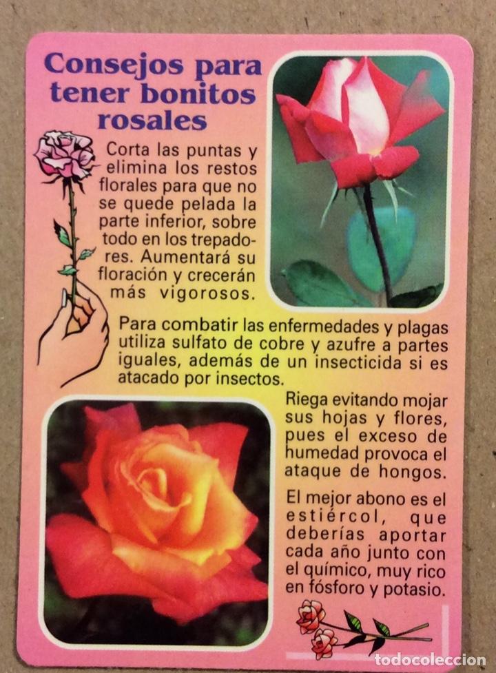 Collectables Calendars: FLORISTER&Iacute;A REGALOS GARDENIA TL (SESTAO). CALENDARIO PUBLICITARIO DE 1999.