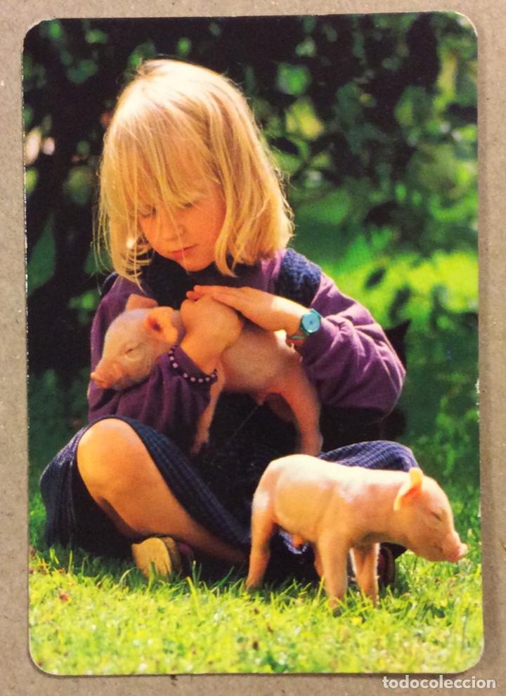 Colecionismo Calend&aacute;rios: ANIMALES Y PLANTAS CAMALE&Oacute;N (ROMO - LAS ARENAS). CALENDARIO PUBLICITARIO DE 1998.