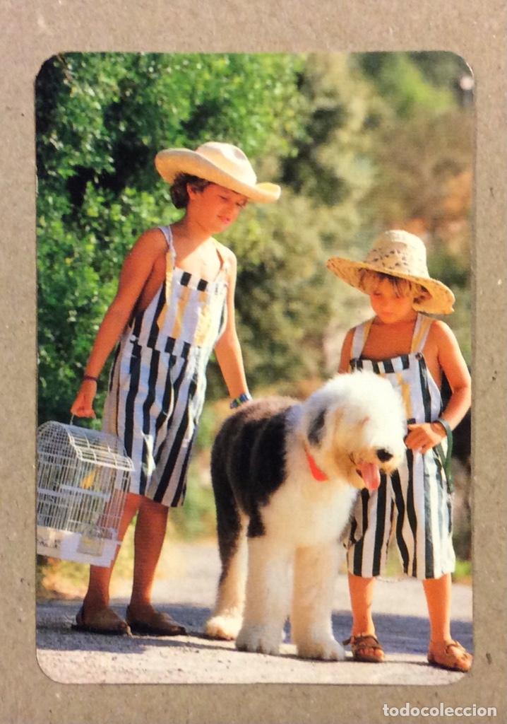 Collectables Calendars: SOCIEDAD MICOL&Oacute;GICA GALLARTA. CALENDARIO PUBLICITARIO DE 1997.