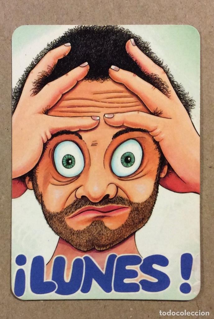 Sammeln von Kalendern: MES&Oacute;N LA TORTILLA (DEUSTO - BILBAO). CALENDARIO PUBLICITARIO DE 1996.