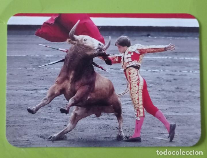 Coleccionismo Calendarios: CALENDARIO TEMA TAURINO. SERIE EDIJAR N&deg; 117. A&Ntilde;O 2008. SIN PUBLICIDAD