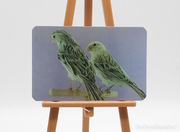 Coleccionismo Calendarios: Calendario de bolsillo - 2011 - Animales - Aves - P&aacute;jaros - Canarios