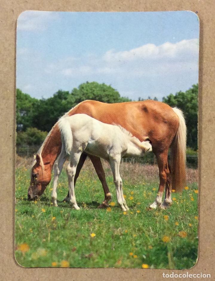 Coleccionismo calendarios: LA FAMILIA MANTECA (DERIO). CALENDARIO PUBLICITARIO DE 1989.