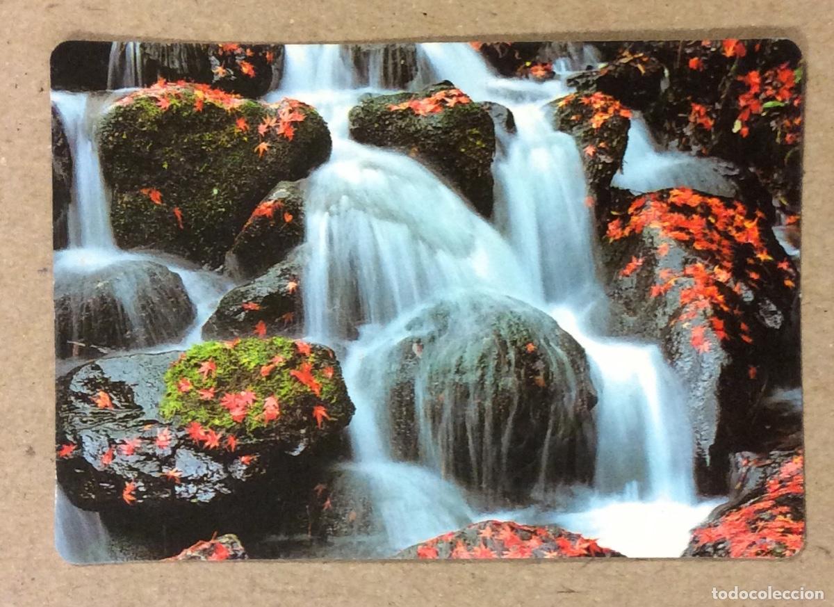 Sammeln von Kalendern: PSOE EUSKADIKO EZKERRALDEA AGRUPACI&Oacute;N DE PORTUGALETE . CALENDARIO POL&Iacute;TICO VASCO DE 2002.