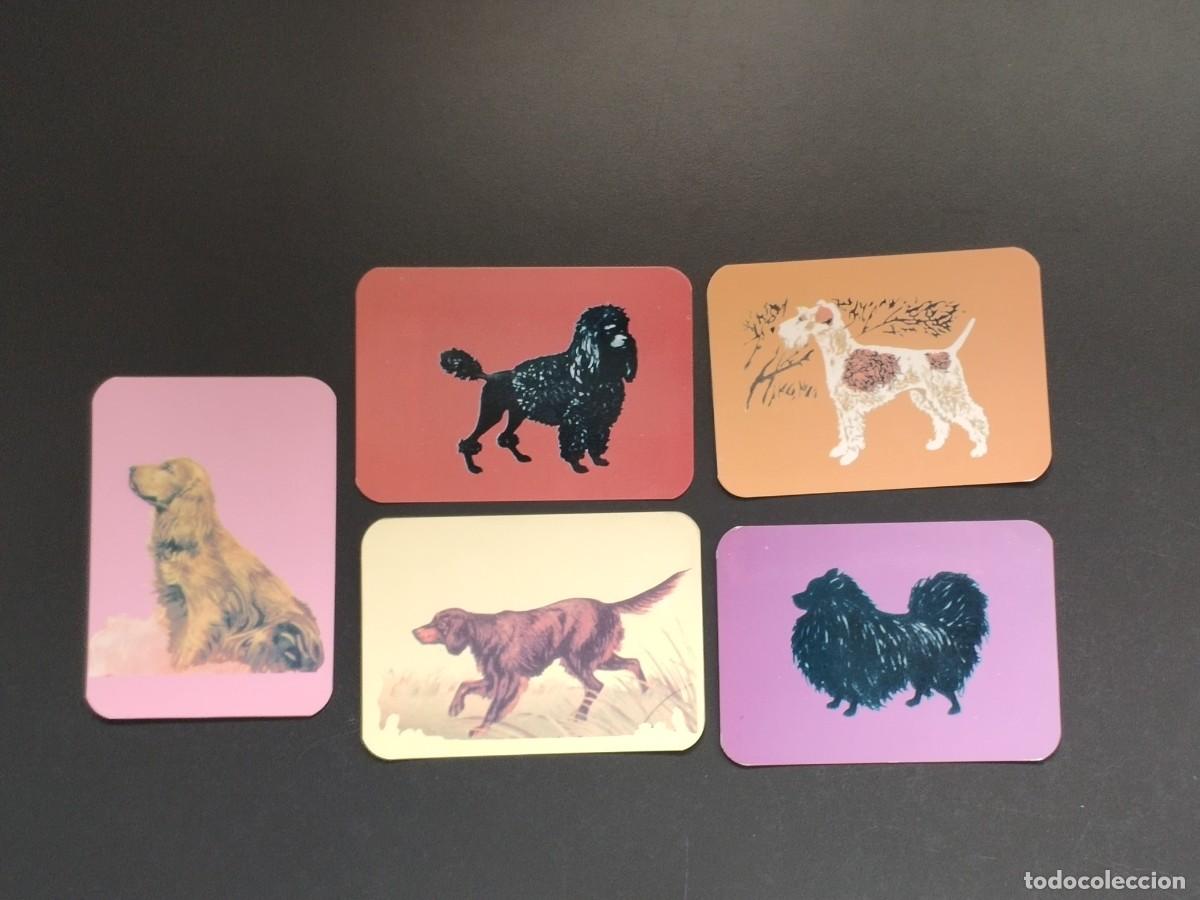 Coleccionismo Calendarios: VCK 3322 5 CALENDARIOS BOLSILLO - A&Ntilde;O 1986 - ANIMAL PERROS - PORTUGAL