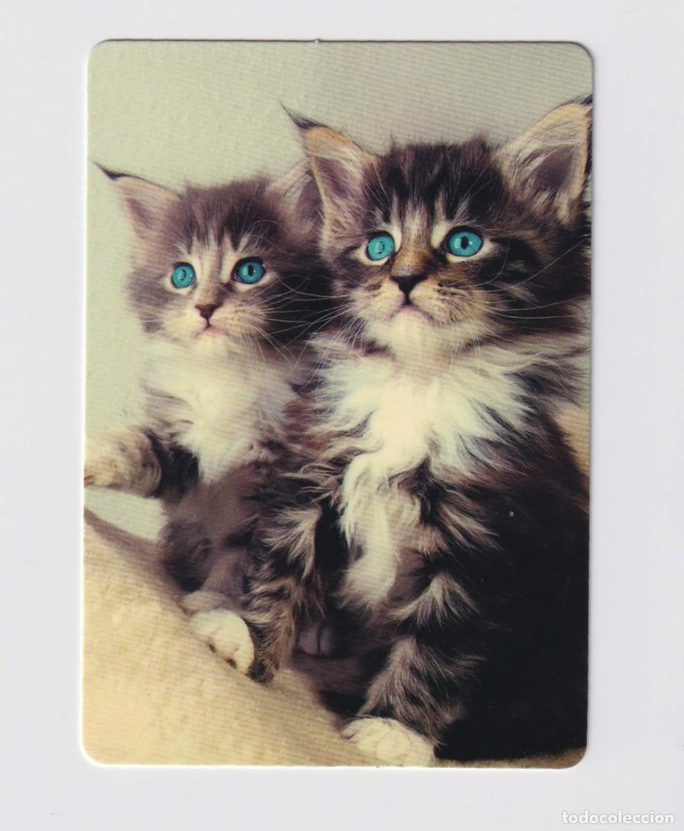 Sammeln von Kalendern: CALENDARIO DE DOS GATITO A&Ntilde;O 2023 DE LA CASA C.B. N&ordm; 40 SIN PUBLICIDAD