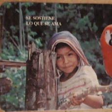 Coleccionismo Calendarios: 1 CALENDARIO DE ** MISIONES SELVAS AMAZÓNICAS ** AÑO 1996