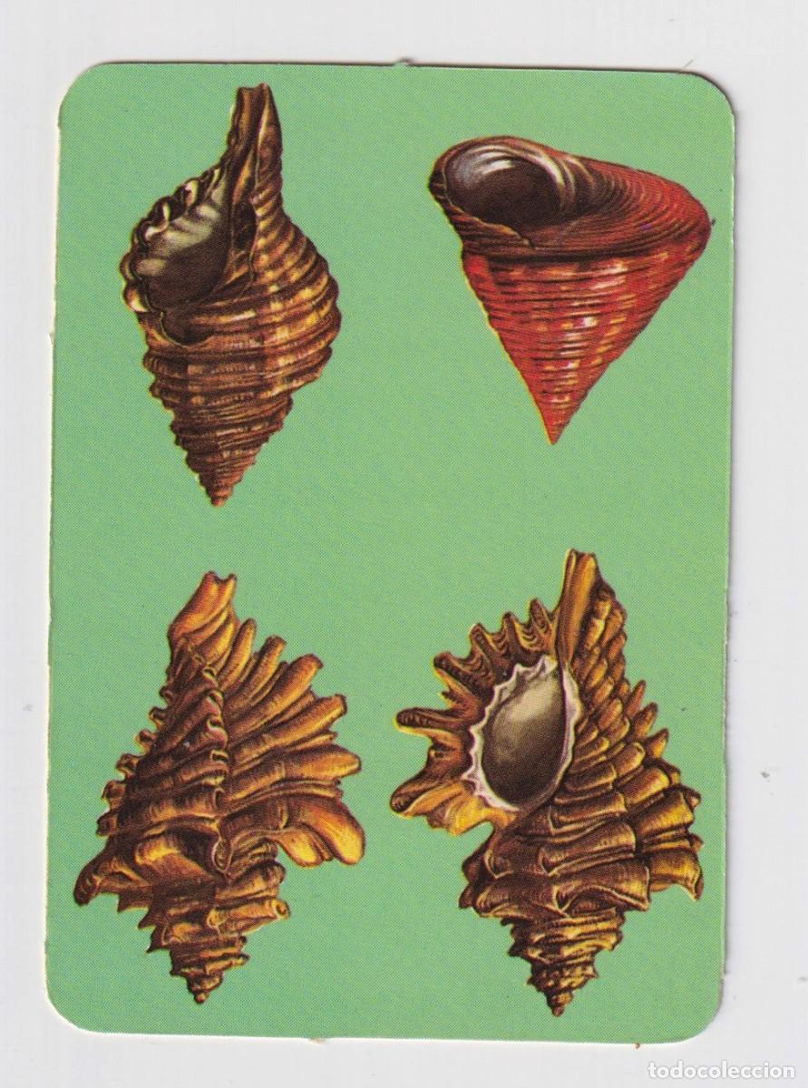 Collectables Calendars: CALENDARIOS A&Ntilde;O 1988 EDITOR PASTELERIA ESPINHO EN EXTRANJEROS