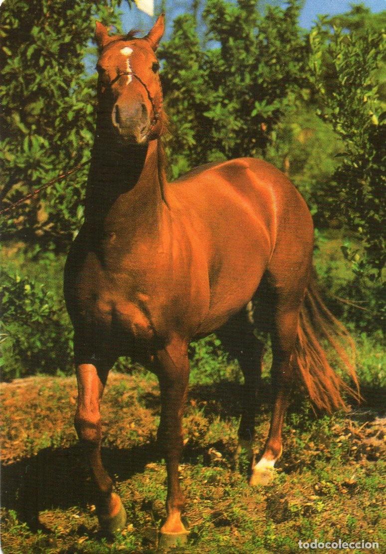 Coleccionismo calendarios: Calendario de Serie 2012 - SERIE - CB N&ordm; 67