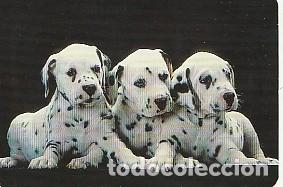 Collezionismo Calendari: calendario bolsillo - tuset - farmacia - tarragona - a&ntilde;o 2002 - nuevo