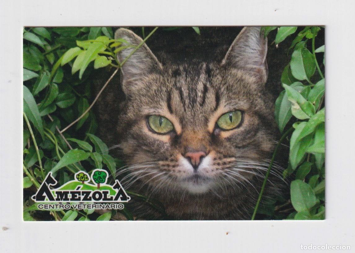 Sammeln von Kalendern: CALENDARIO DE A&Ntilde;O 2012 CON PUBLICIDAD DE MEZOLA EDICION CENTO VETERINARIO