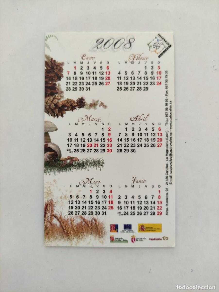 Collezionismo Calendari: CALENDARIO BOLSILLO 2008 - CUATRO VALLES - LA MAGDALENA LEON - FLORA FRUTA ALIMENTACION