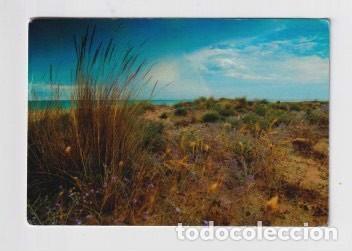 Collectionnisme Calendriers: CALENDARIO DEL A&Ntilde;O 2011 PUBLICIDAD CONSEJER&Iacute;A DE TURISMO DE VALENCIA