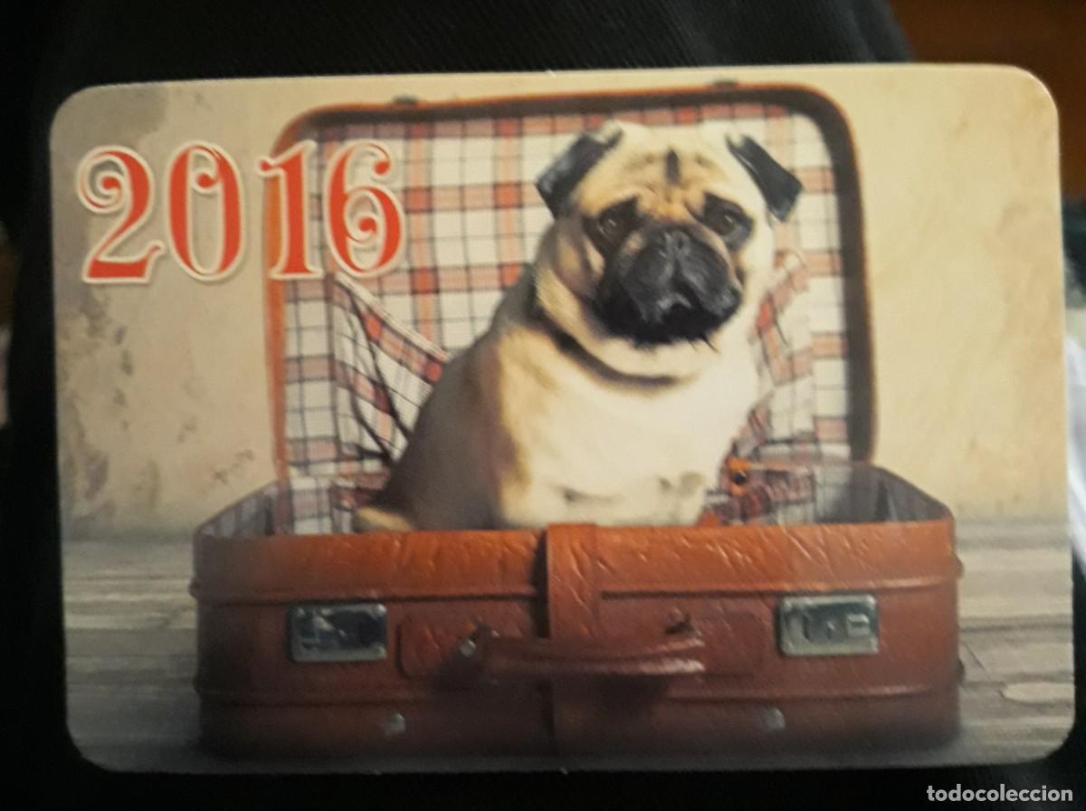 Coleccionismo Calendarios: -80334 CALENDARIO PERRO EN MALETA, A&Ntilde;O 2016, EXTRANJERO, ANIMALES