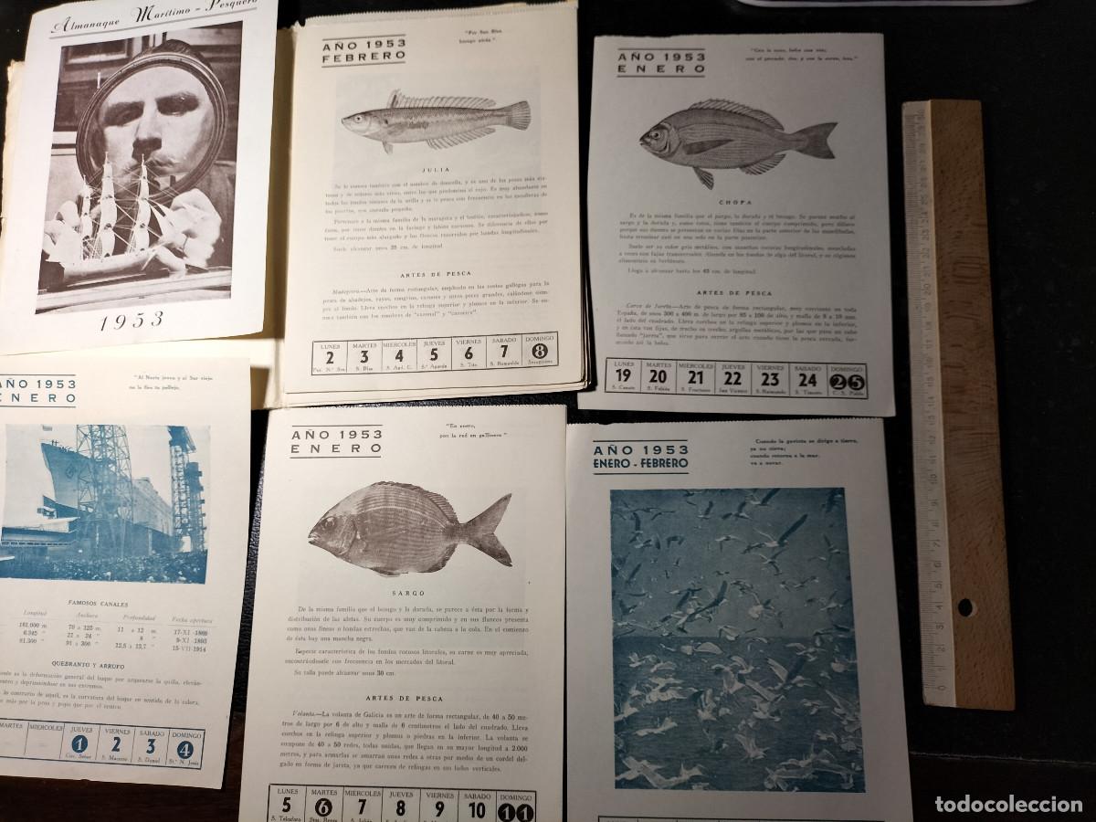 Coleccionismo calendarios: ALMANAQUE MAR&Iacute;TIMO-PESQUERO. Premio &ldquo;Virgen del Carmen&rdquo;. Tres a&ntilde;os: 1953, 1954, 1955.