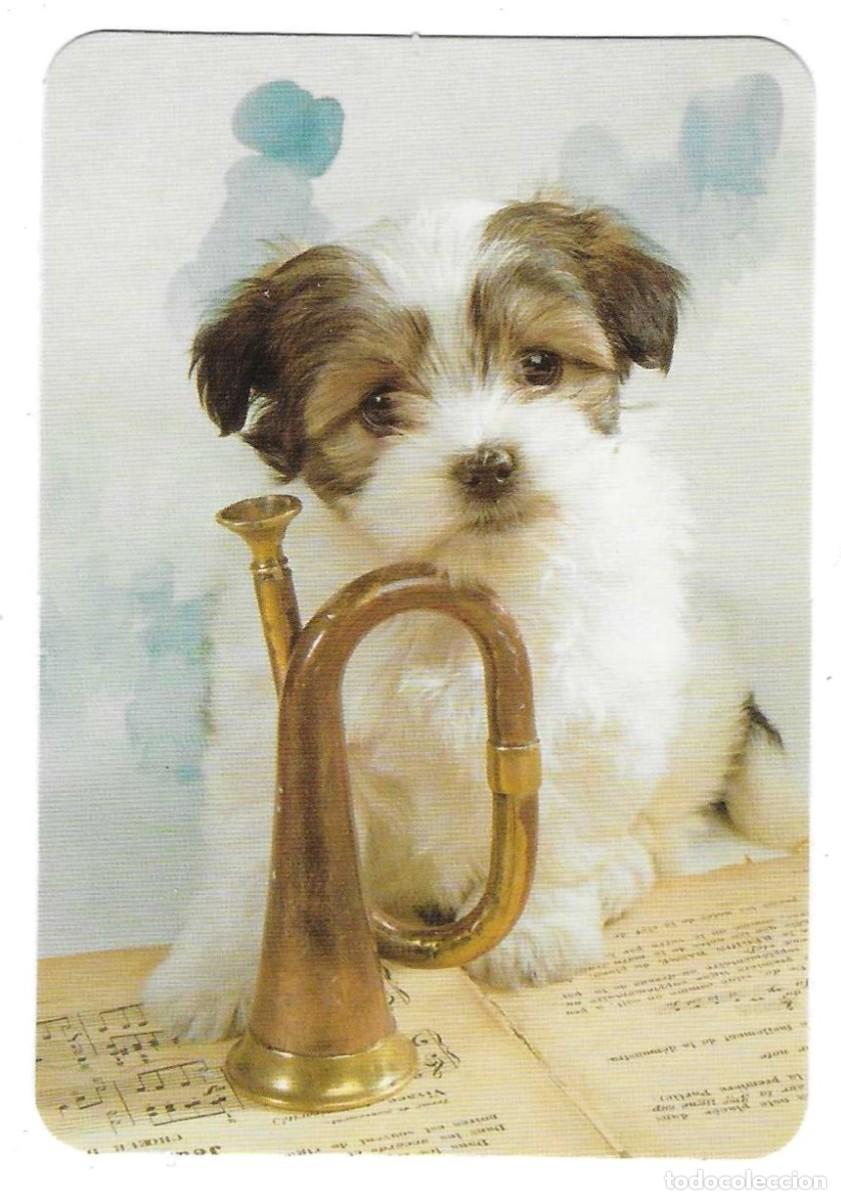 Coleccionismo Calendarios: Calendario a&ntilde;o 2005. Perro y trompeta. 11-05L108
