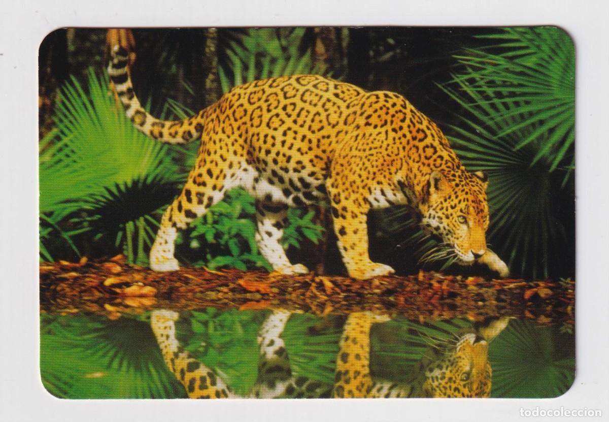 Collezionismo Calendari: Calendario Tigre De A&Ntilde;O 2009 casa CB 66 sin publicidad
