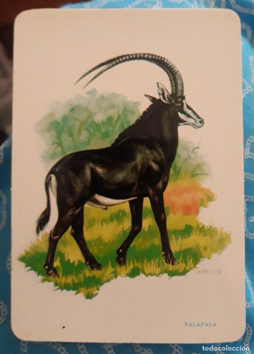 Coleccionismo Calendarios: -52587 CALENDARIO DIBUJO ANTILOPE SABLE, ANIMALES, A&Ntilde;O 1989, CON PUBLICIDAD, EXTRANJERO