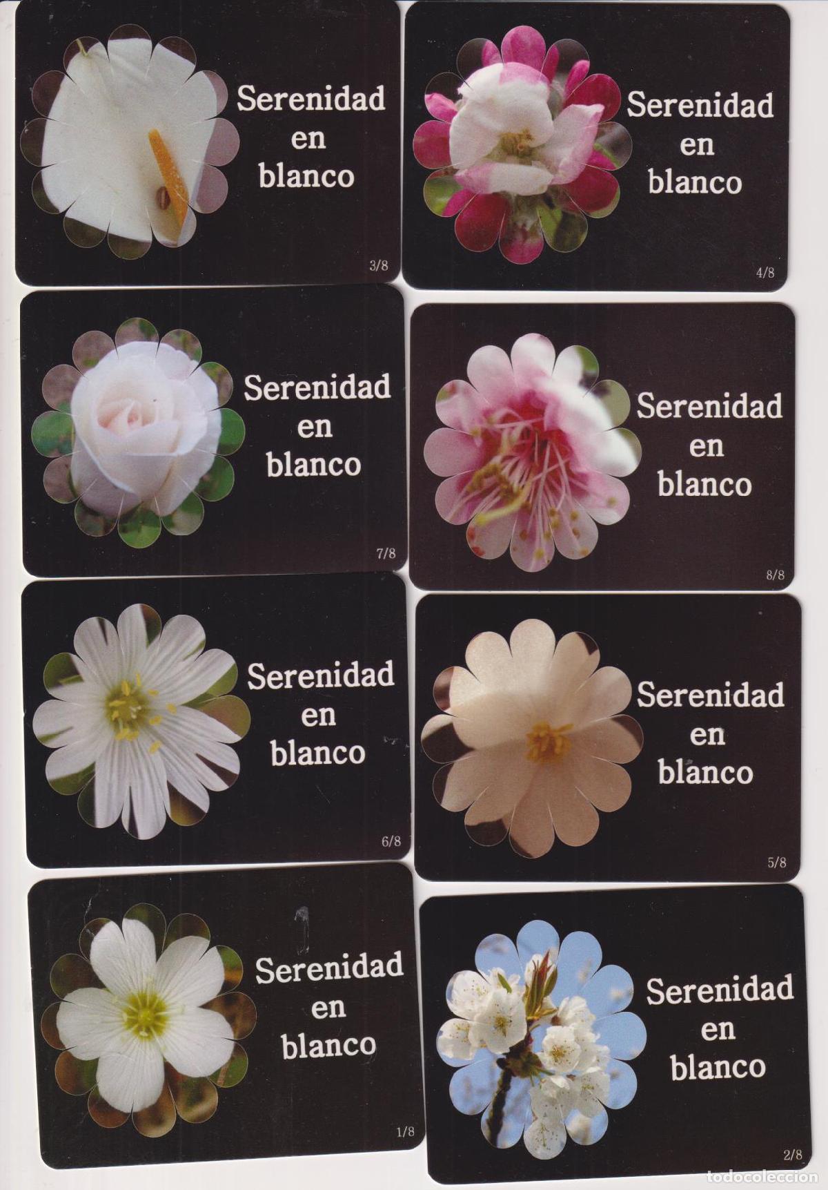 Colecionismo Calend&aacute;rios: Serie de 8 calendarios para 2009. Serenidad en blanco. A.C.C.B.