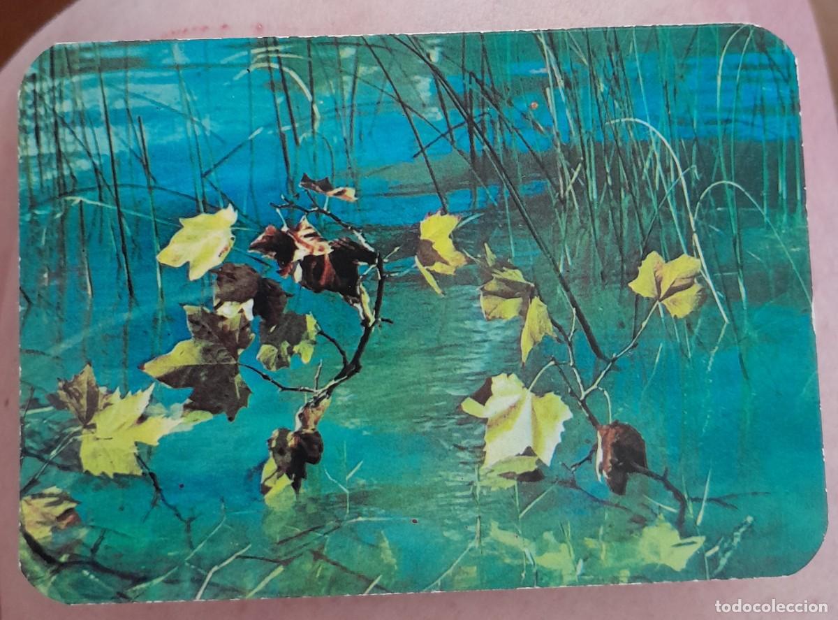 Coleccionismo calendarios: -85299 CALENDARIO PLANTAS DE AGUA, A&Ntilde;O 1969, SERIE GRAY, PUBLICIDAD LIBRER&Iacute;A DON QUIJOTE, GRANADA