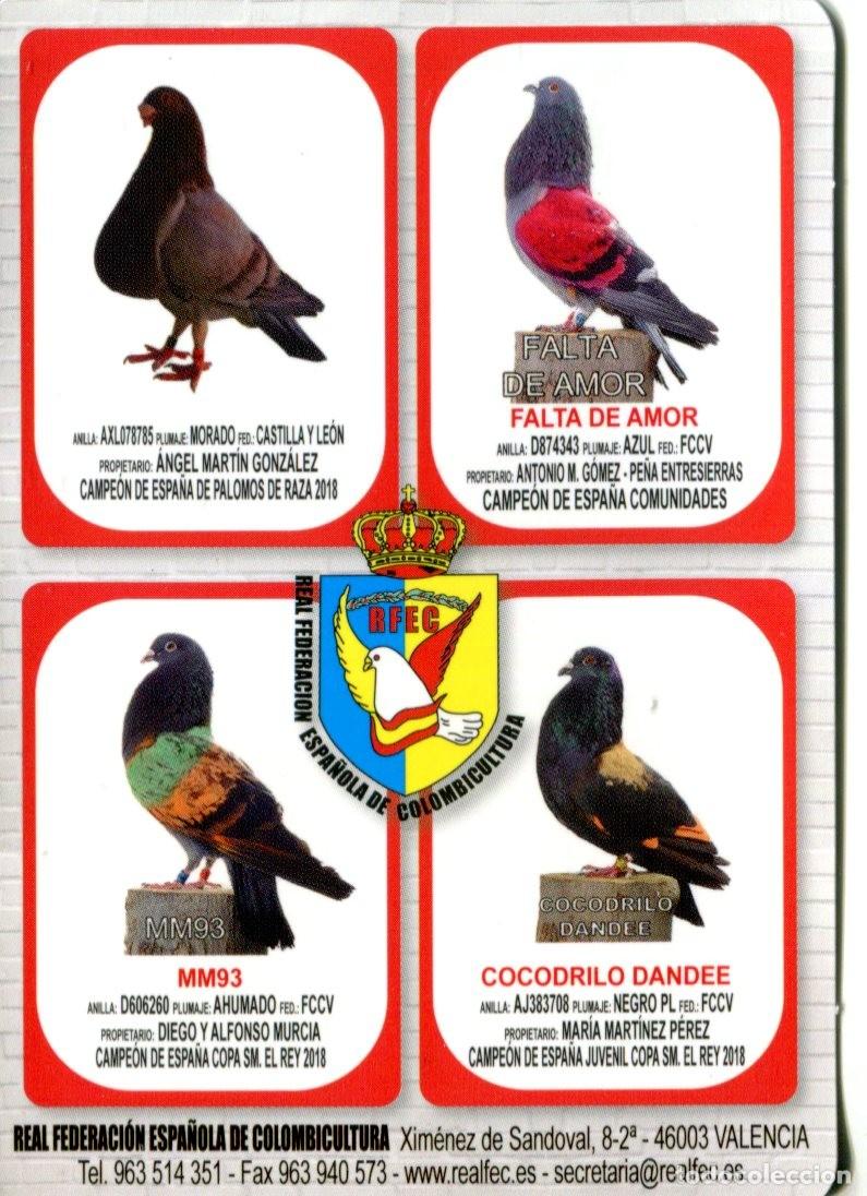 Collectables Calendars: Calendario publicitario Real Federaci&oacute;n Espa&ntilde;ola de Colombicultura a&ntilde;o 2019 Palomas Animales Aves