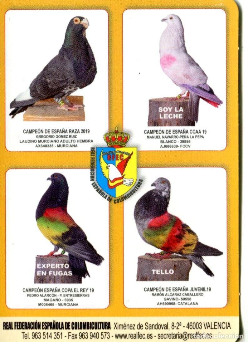 Collectables Calendars: Calendario publicitario Real Federaci&oacute;n Espa&ntilde;ola de Colombicultura a&ntilde;o 2020 Palomas Animales Aves