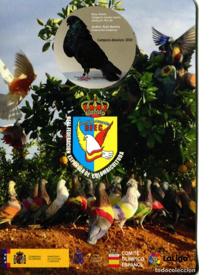 Coleccionismo calendarios: Calendario publicitario Real Federaci&oacute;n Espa&ntilde;ola de Colombicultura a&ntilde;o 2021 Animales Aves